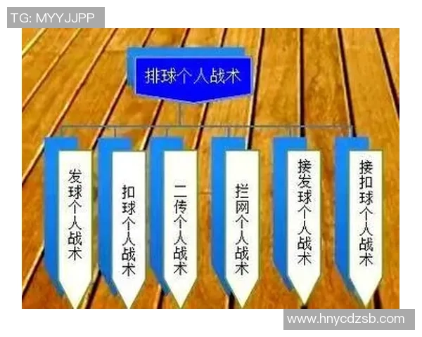 南京排球队在精英赛中的灵活性表现分析与战术探讨